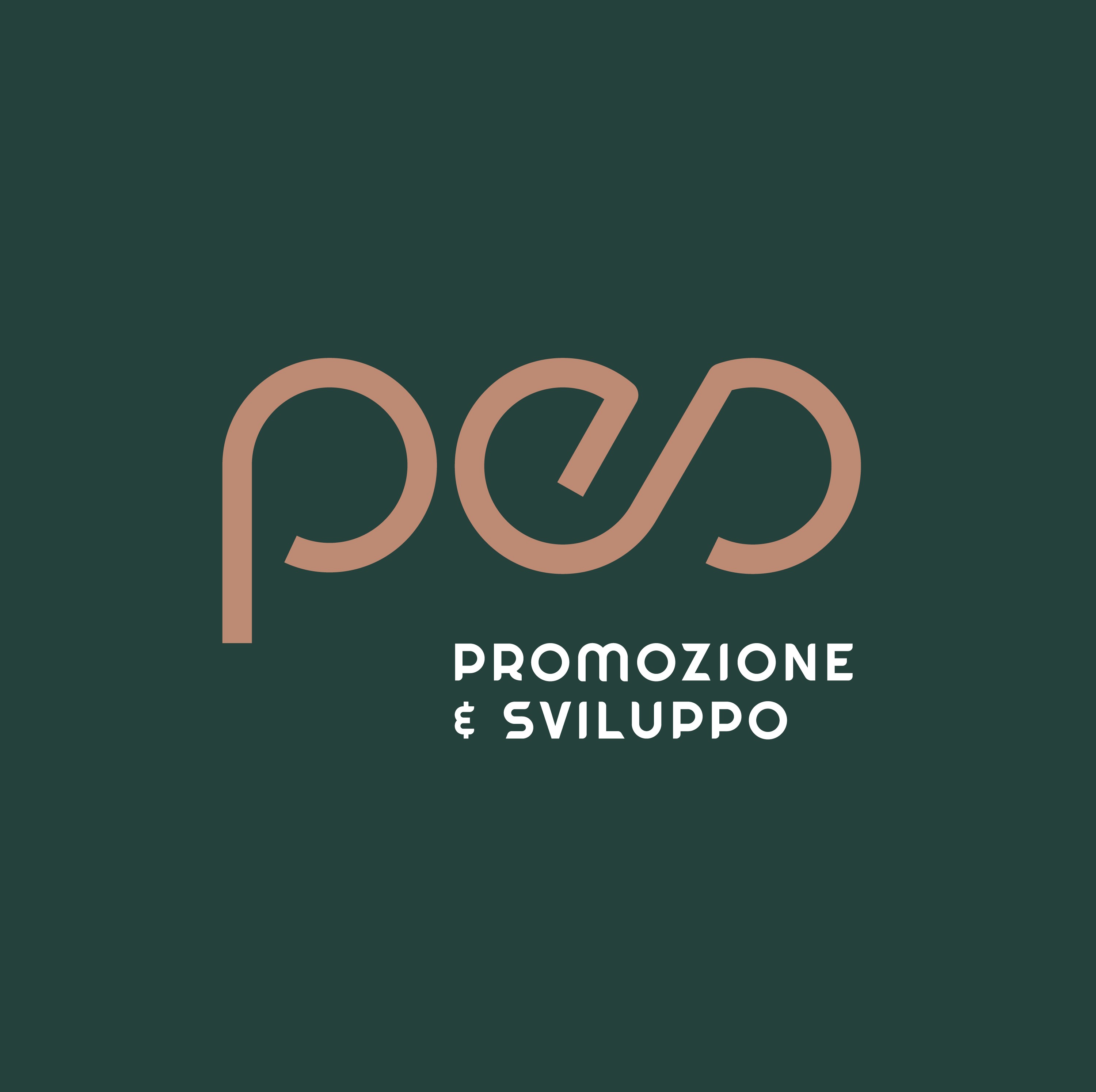 PROMOZIONE E SVILUPPO SRL - PES